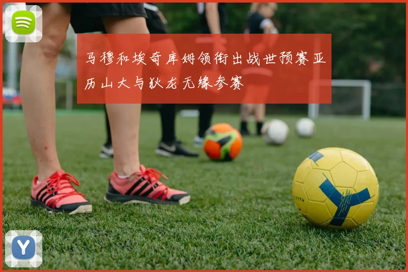 马穆和埃奇库姆领衔出战世预赛亚历山大与狄龙无缘参赛