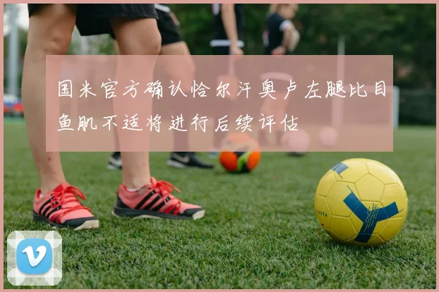 国米官方确认恰尔汗奥卢左腿比目鱼肌不适将进行后续评估